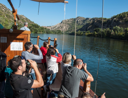 El Ebro desde dentro: navegando con «Lo Roget»