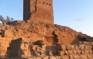 Restes del castell d'Ascó