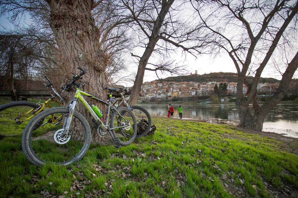 Paisatge on es veu Ascó de fons i el riu, i 3 bicicletes recolzades a un arbre