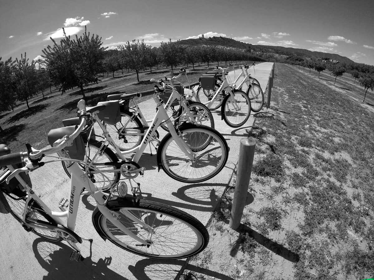 6 Bicicletes elèctriques blanques estacionades a un camí asfaltat