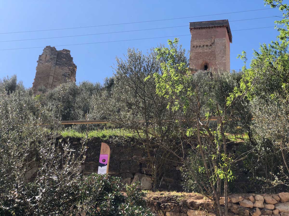 Fotografia de la nova senyalització botànica als peus del castell d'Ascó