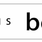 Logotip Excavacions Borrell SL, de color negre amb l'imagotip marró.